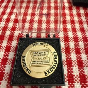 Magnet nursing excellence pin new